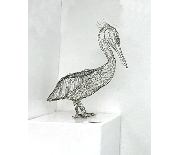 "Pelican" - Elizabeth Berrien